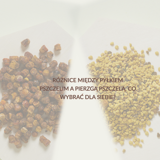Pyłek pszczeli a pierzga pszczela. Róznice.