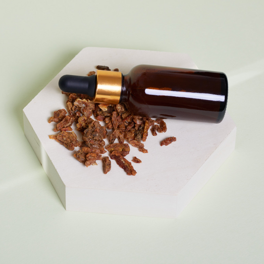 Propolis kontra Helicobacter pylori – naturalna broń w walce o zdrowie żołądka