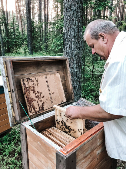 pszczelarz wyciągający ramki pszczele z miodem